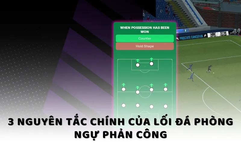 3 nguyên tắc chính của lối đá phòng ngự phản công