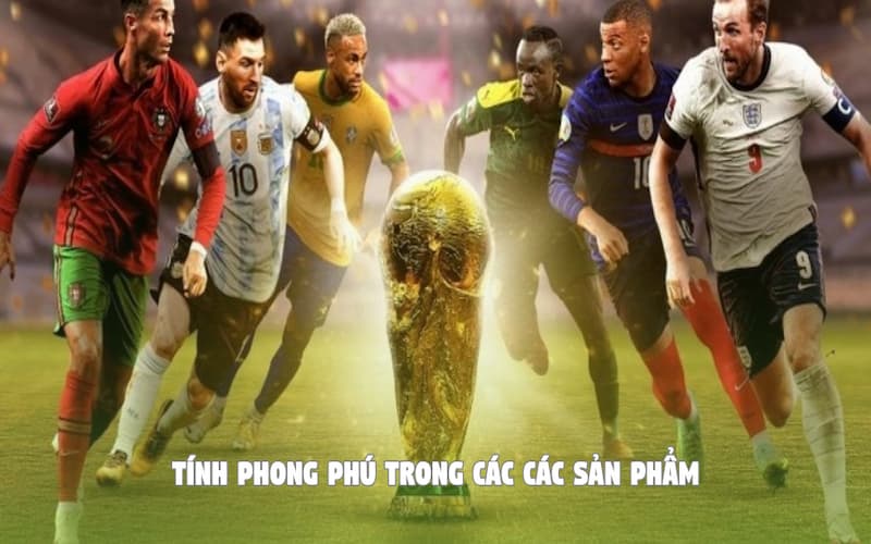 Tính phong phú trong các sản phẩm