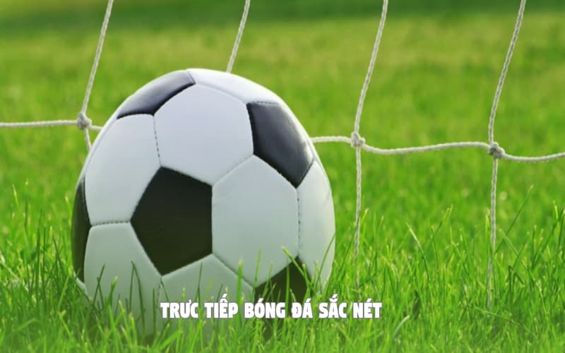 Trực tiếp bóng đá sắc nét