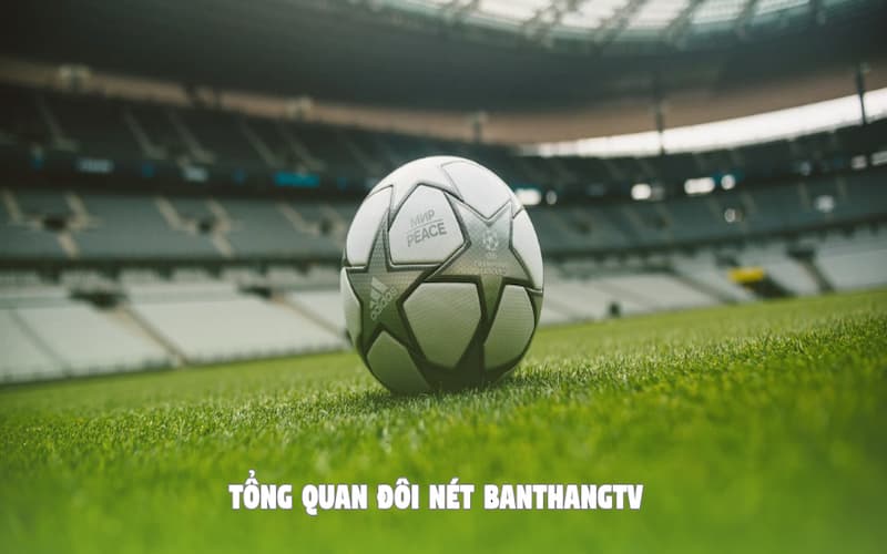 Tổng quan đôi nét về trang