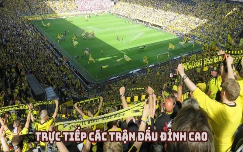 Livescore trực tiếp các trận thư hùng đỉnh cao