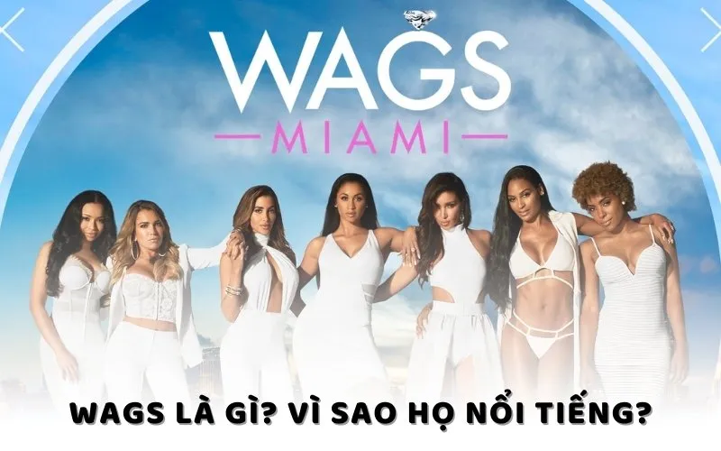 WAGs là gì? Vì sao họ nổi tiếng?